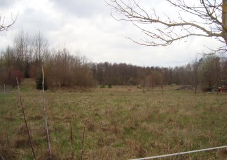 działka na sprzedaż - Żabia Wola, Grzmiąca