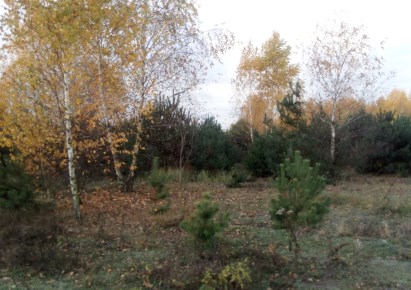 działka na sprzedaż - Radziejowice, Adamów-Wieś