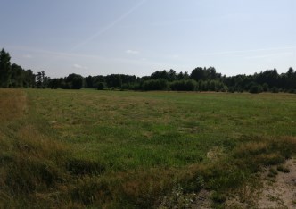 działka na sprzedaż - Radziejowice, Stare Budy Radziejowskie