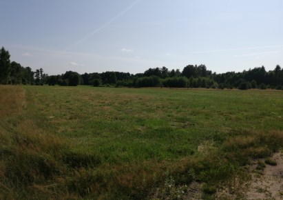 działka na sprzedaż - Radziejowice, Stare Budy Radziejowskie