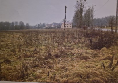 działka na sprzedaż - Białowieża