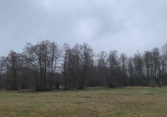 działka na sprzedaż - Jaktorów, Budy Zosine