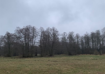 działka na sprzedaż - Jaktorów, Budy Zosine