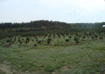 działka na sprzedaż - Żabia Wola, Grzegorzewice