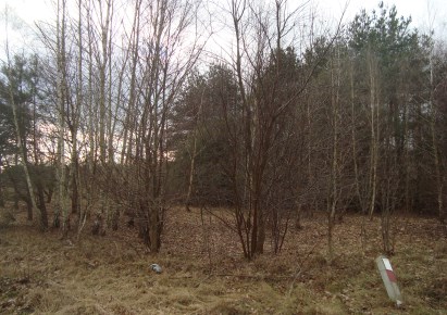 działka na sprzedaż - Żabia Wola, Ojrzanów-Towarzystwo