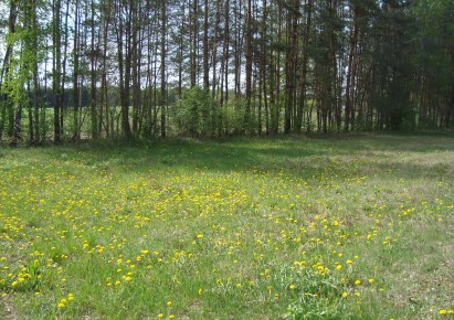 działka na sprzedaż - Żabia Wola, Zaręby