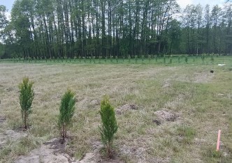 działka na sprzedaż - Puszcza Mariańska, Radziwiłłów