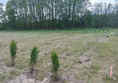działka na sprzedaż - Puszcza Mariańska, Radziwiłłów