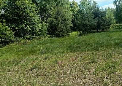 działka na sprzedaż - Maków, Słomków