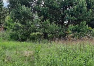 działka na sprzedaż - Kampinos, Kwiatkówek