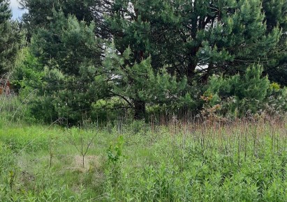 działka na sprzedaż - Kampinos, Kwiatkówek