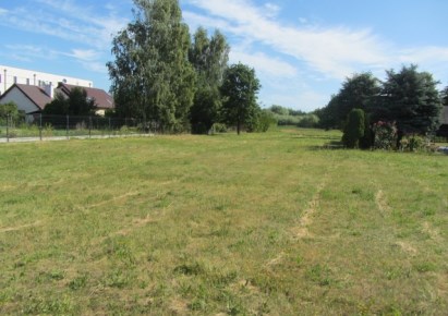 działka na sprzedaż - Grodzisk Mazowiecki (gw), Szczęsne