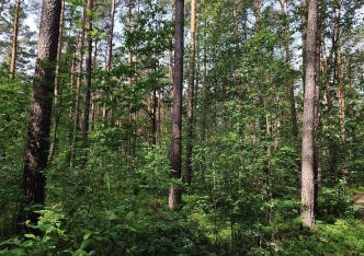 działka na sprzedaż - Puszcza Mariańska, Grabina Radziwiłłowska