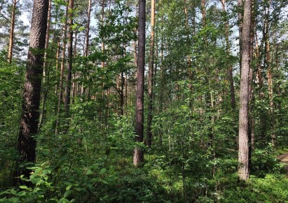 działka na sprzedaż - Puszcza Mariańska, Grabina Radziwiłłowska