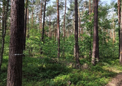 działka na sprzedaż - Puszcza Mariańska, Grabina Radziwiłłowska