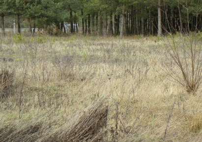 działka na sprzedaż - Żabia Wola, Kaleń