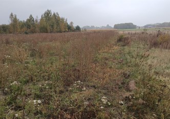 działka na sprzedaż - Skierniewice, Sierakowice Lewe