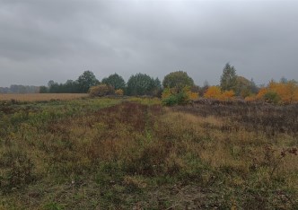 działka na sprzedaż - Skierniewice, Sierakowice Lewe