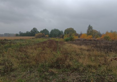 działka na sprzedaż - Skierniewice, Sierakowice Lewe