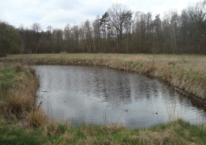 działka na sprzedaż - Żabia Wola, Pieńki Zarębskie
