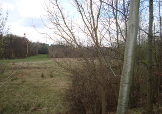 działka na sprzedaż - Żabia Wola, Pieńki Zarębskie