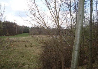 działka na sprzedaż - Żabia Wola, Pieńki Zarębskie