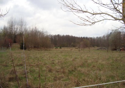 działka na sprzedaż - Żabia Wola, Pieńki Zarębskie