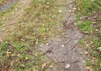 działka na sprzedaż - Jaktorów, Chylice