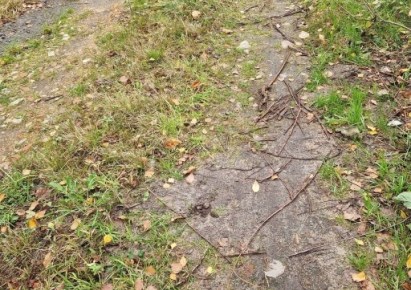 działka na sprzedaż - Jaktorów, Chylice