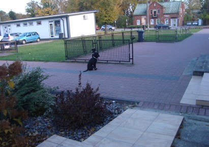 lokal na wynajem - Jaktorów