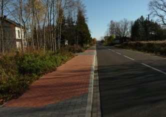 działka na sprzedaż - Puszcza Mariańska, Budy Zaklasztorne