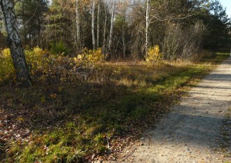 działka na sprzedaż - Puszcza Mariańska, Budy Zaklasztorne