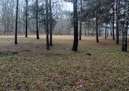 działka na sprzedaż - Puszcza Mariańska