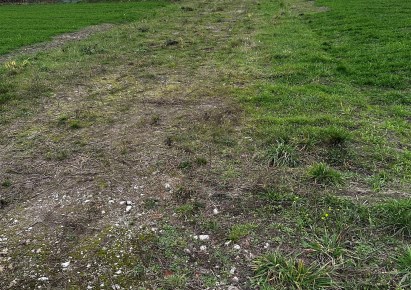 działka na sprzedaż - Grodzisk Mazowiecki