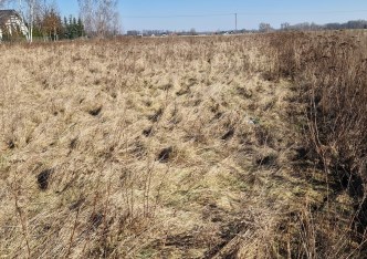 działka na sprzedaż - Jaktorów