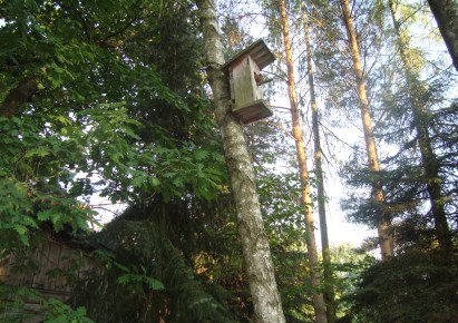 działka na sprzedaż - Żabia Wola, Ojrzanów