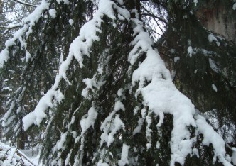 działka na sprzedaż - Żabia Wola, Słubica B