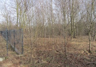 działka na sprzedaż - Radziejowice, Zboiska