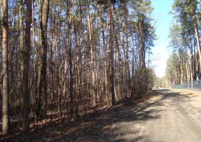 działka na sprzedaż - Grodzisk Mazowiecki (gw), Książenice