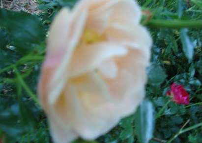 działka na sprzedaż - Grodzisk Mazowiecki (gw), Kady