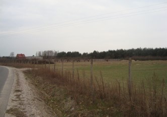 działka na sprzedaż - Tarczyn (gw), Many