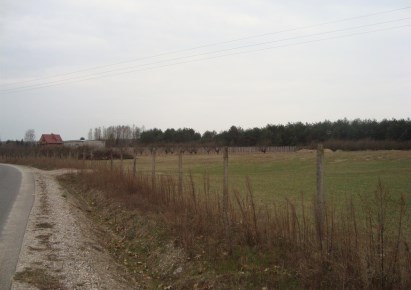 działka na sprzedaż - Tarczyn (gw), Many