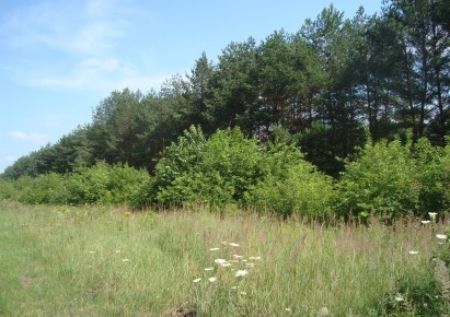 działka na sprzedaż - Tarczyn (gw), Many