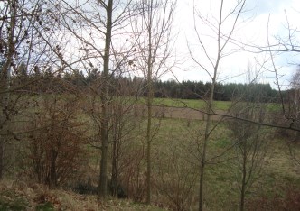 działka na sprzedaż - Tarczyn (gw), Many