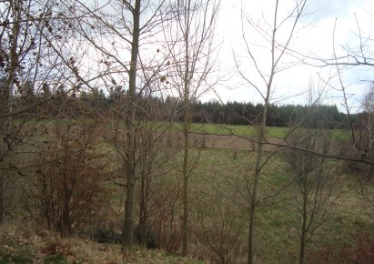 działka na sprzedaż - Tarczyn (gw), Many