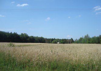 działka na sprzedaż - Tarczyn (gw), Borowiec