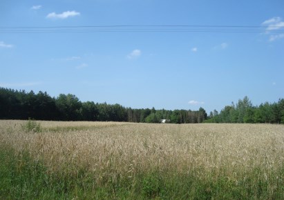 działka na sprzedaż - Tarczyn (gw), Borowiec