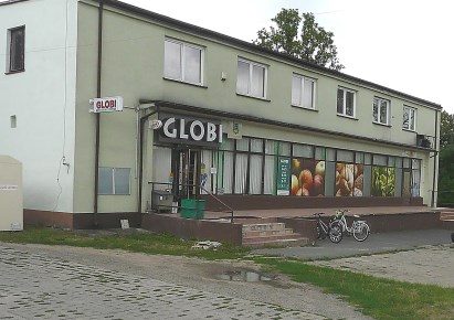 pawilon na sprzedaż - Godzianów