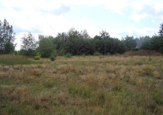 działka na sprzedaż - Żabia Wola, Żelechów