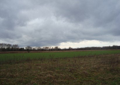 działka na sprzedaż - Żabia Wola, Żelechów